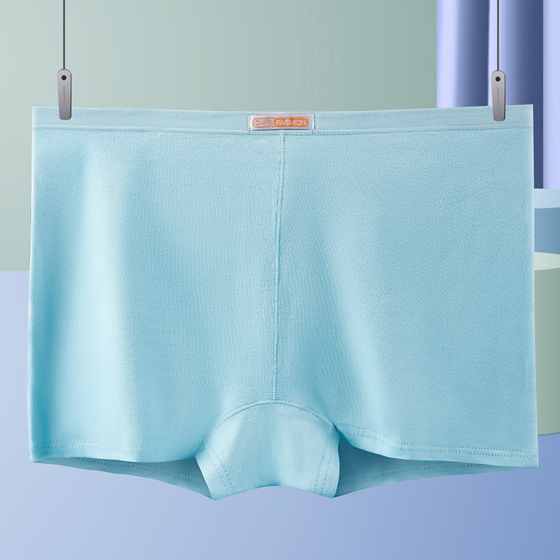 Flache Winkel Slips Damen Unte – Boyshort Underwear Bewertung und Preis